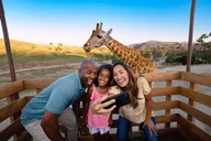 San Diego Zoo Safari Park 1-Day Pass thumbnail 2