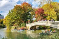 New York City Central Park Private Tour thumbnail 3