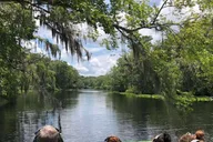 St. Augustine Airboat Safari on St. Johns River thumbnail 3