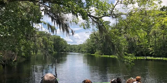 St. Augustine Airboat Safari on St. Johns River - Image 3
