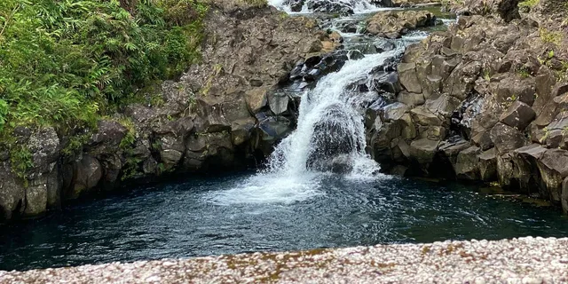 Maui Road to Hana Tour with Local Guide - Image 5