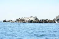 Bodega Bay Sailing Tour thumbnail 4