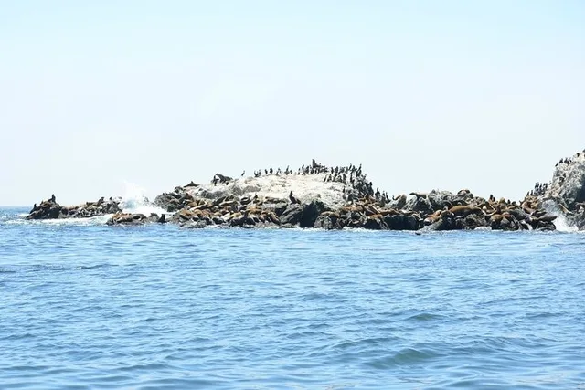 Bodega Bay Sailing Tour - Image 4
