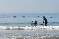 Santa Monica Surf Lesson thumbnail 2