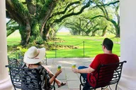 New Orleans Oak Alley Plantation Tour with Transportation thumbnail 3