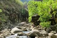Kauai Waimea Canyon and Kokeʻe State Park Private Tour thumbnail 1