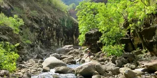 Kauai Waimea Canyon and Kokeʻe State Park Private Tour
