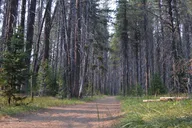 Yellowstone Hike to Lake Shoshone (Private) thumbnail 5