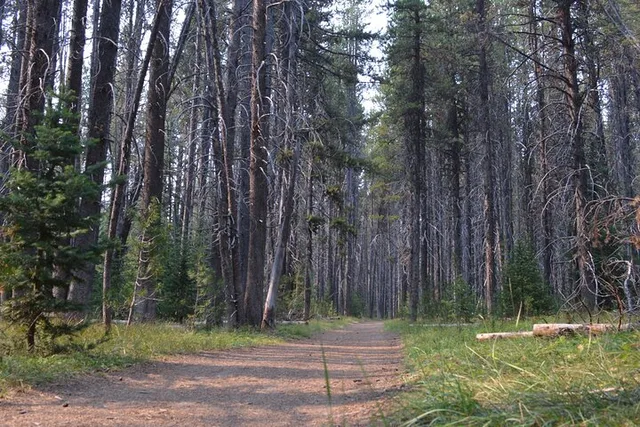 Yellowstone Hike to Lake Shoshone (Private) - Image 5
