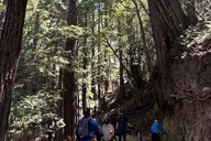 Big Sur Electric Bike Tour Along Old Coast Road thumbnail 5