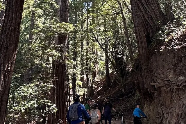Big Sur Electric Bike Tour Along Old Coast Road - Image 5
