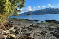Ketchikan Low Tide Excursion and Totem Bight Park thumbnail 2