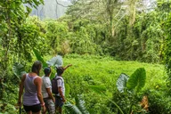 Oahu Hiking Experience thumbnail 5