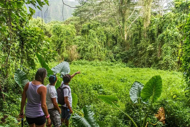 Oahu Hiking Experience - Image 5