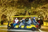Tampa Christmas Lights Golf Cart Tour thumbnail 6