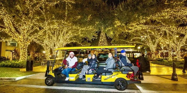 Tampa Christmas Lights Golf Cart Tour - Image 6
