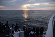 Monterey Whale Watching Tour thumbnail 4