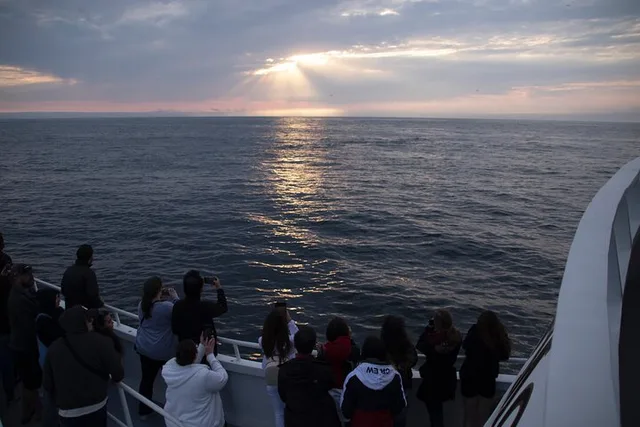 Monterey Whale Watching Tour - Image 4