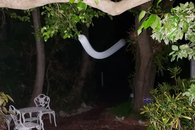 Key West Haunted History Walking Tour - Image 3