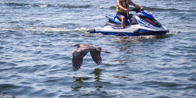 Destin Waverunner Rental with Crab Island Access - Image 3