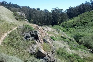 San Francisco Glen Park and Canyon Self-Guided Tour