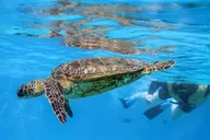 Ko Olina Catamaran Sail and Snorkel with Lunch thumbnail 3