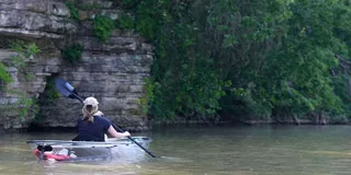 Nashville Old Hickory Lake Clear Kayak Wildlife Tour 2.5 hr
