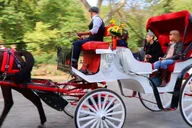 New York City Central Park Horse Carriage Ride thumbnail 1