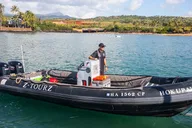 Kauai Whale and Dolphin Zodiac Boat Adventure thumbnail 3
