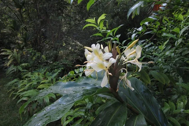 Oahu Private Island Tour - Image 5