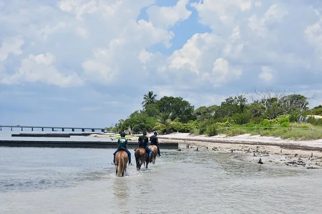 Miami Horseback Riding on Pristine Waters - Image 2