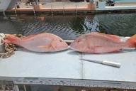 Marathon Fishing Experience thumbnail 3