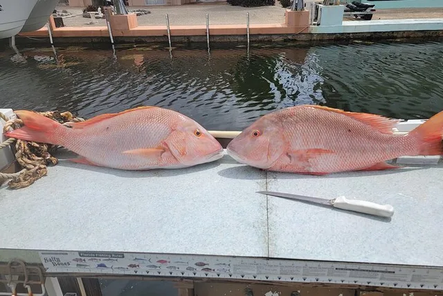 Marathon Fishing Experience - Image 3