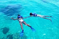 Islamorada Snorkel and Sandbar Combo thumbnail 2
