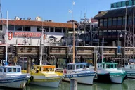 San Francisco Golden Gate Bay Historic Boat Tour 1.5 hr thumbnail 2