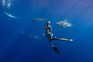 Haleiwa Ocean Adventure Dive