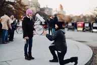 New York Central Park Carriage Ride 40 min thumbnail 4