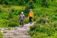 Seattle Mount Rainier National Park Tour thumbnail 4
