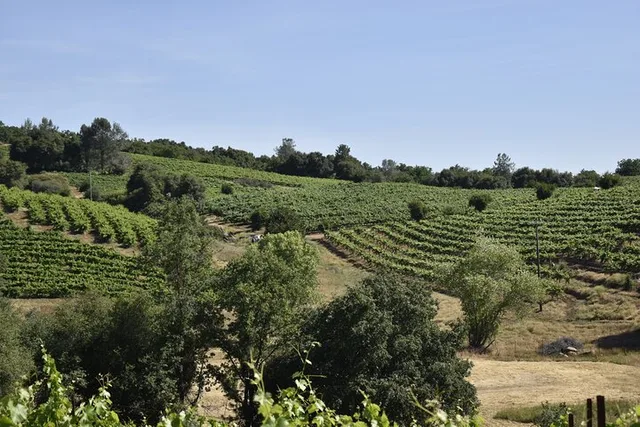 Placerville Wine Tasting Tour - Image 3