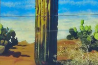 Tucson Historical Walking Tour thumbnail 2