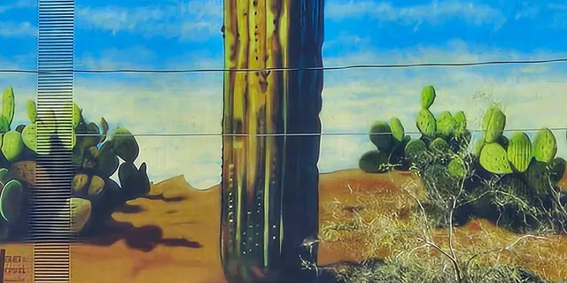 Tucson Historical Walking Tour - Image 2