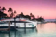 Maui Sunset Cruise with 4-Course Dinner thumbnail 1