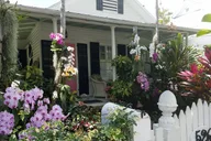 Key West Walking Tour thumbnail 4