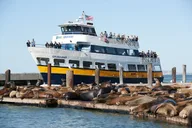 San Francisco Alcatraz Tour and Bay Cruise thumbnail 6