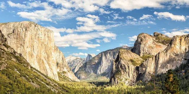 San Francisco Yosemite Private Tour - Image 2