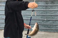 San Diego Pier Fishing Tour thumbnail 4