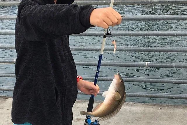 San Diego Pier Fishing Tour - Image 4