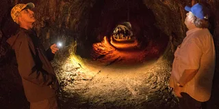 Hawaii Volcanoes National Park Private Tour