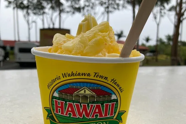 Honolulu Private Limousine Tour of Dole Plantation and North Shore - Image 3