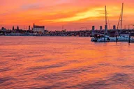 St. Augustine Wildlife and Lights Eco Tour thumbnail 5